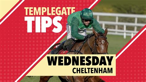cheltenham horse racing tips